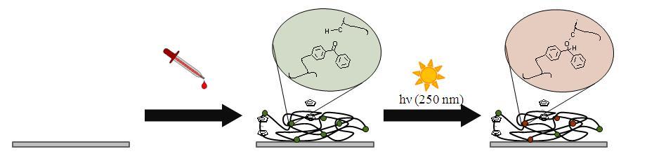 b.3 hydrogel