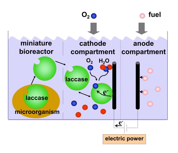 a.6 regenerative fuel cell